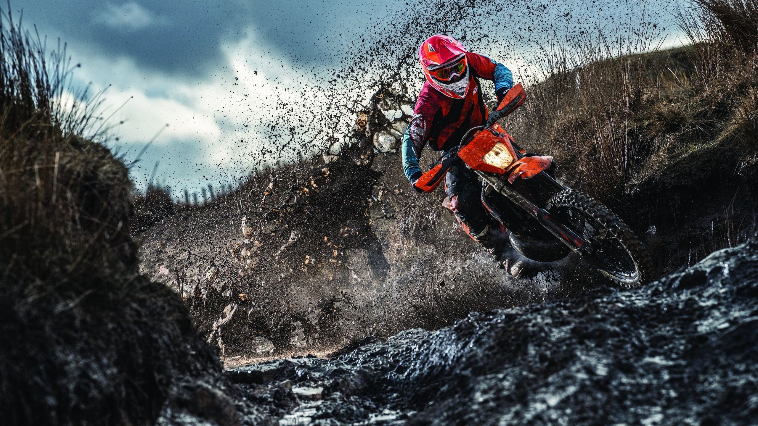 球队文化：打造团队凝聚力的秘密武器，球队文化的具体表现